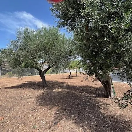 Holiday home Casa Plati 1