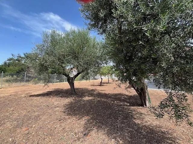 Holiday home Casa Plati 1