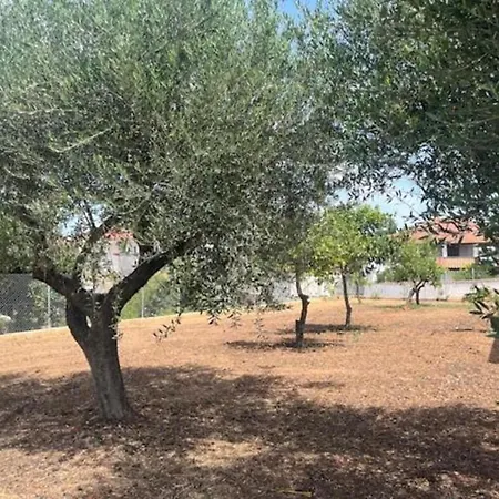 Casa Plati 1 - Modern Escape With Pool & Garden Holiday home *