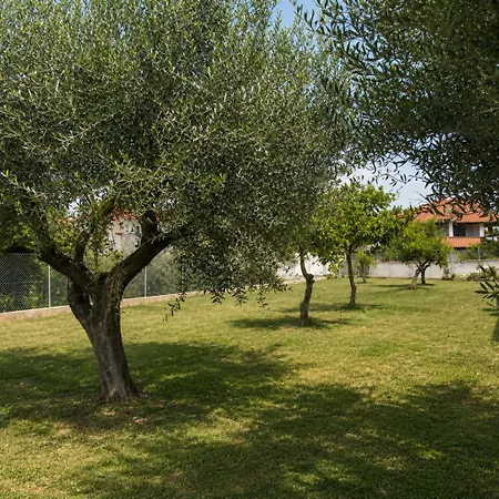Casa Plati 1 - Modern Escape With Pool & Garden